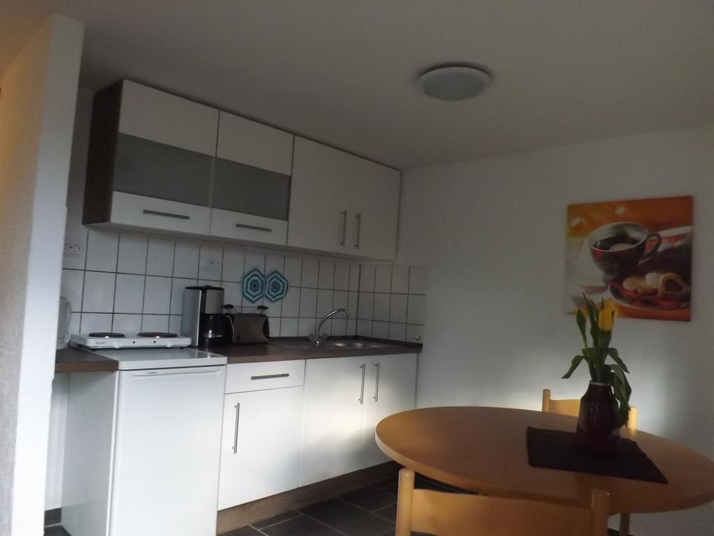 Wehlener Landhaus In Stadt Wehlen, Saechsische Schweiz Rum bild
